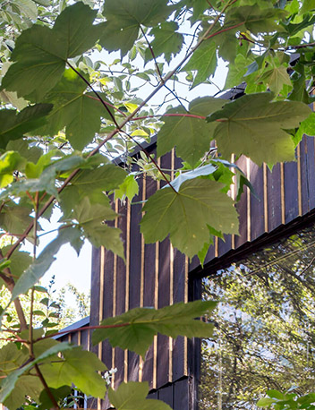 2026_soundproof_regents_case_study